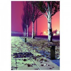 Lampioncino da giardino ALEA IP66 LED 5W 250l 4K Antracite